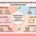 การจัดการความหลากหลายทางชีวภาพ (Biodiversity) สำหรับธุรกิจร้านอาหารขนาดใหญ่ Gemini_Generated_Image_6rjvk6rjvk6rjvk6